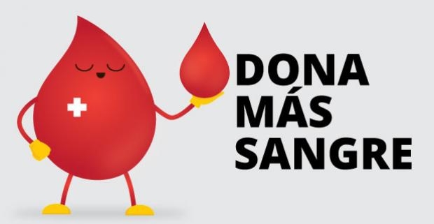 Amateur Girl Upskirt - Hacen llamado solidario a la ciudadanÃ­a para que se transformen en donantes  de sangre â€“ Hospital de Talagante